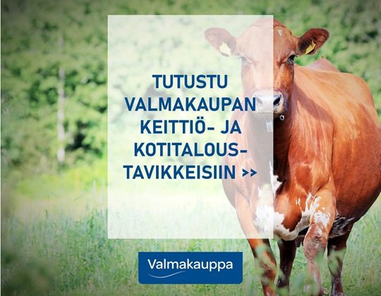 2026-06-004_keittiö_ja_kotitalous_FI.jpg 2026-06-004_keittiö_ja_kotitalous_FI.jpg