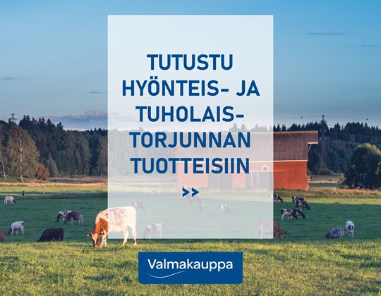 2026-06-005_hyönteis_ja_tuholaistorjunta_FI.jpg 2026-06-005_hyönteis_ja_tuholaistorjunta_FI.jpg