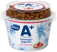 Valio A+™ naturell yoghurt och mysli med bär 200 g laktosfri