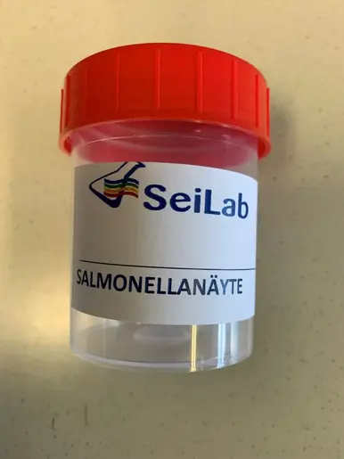 SALMONELLAPROVBURK+REMISS