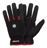 RED 10 talvityökäsineet, (koot 8-11), Gloves Pro